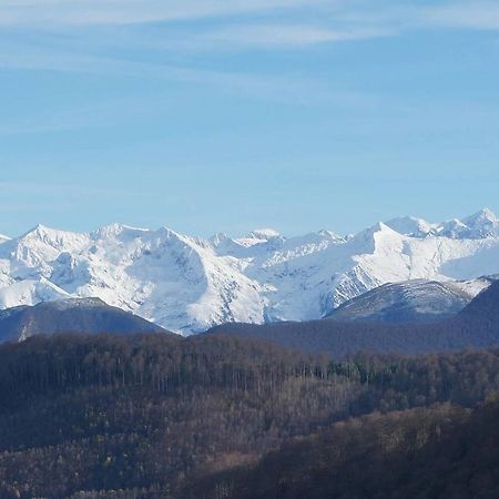 Joli Gite En Ariege Avec Vue Buzan Eksteriør bilde